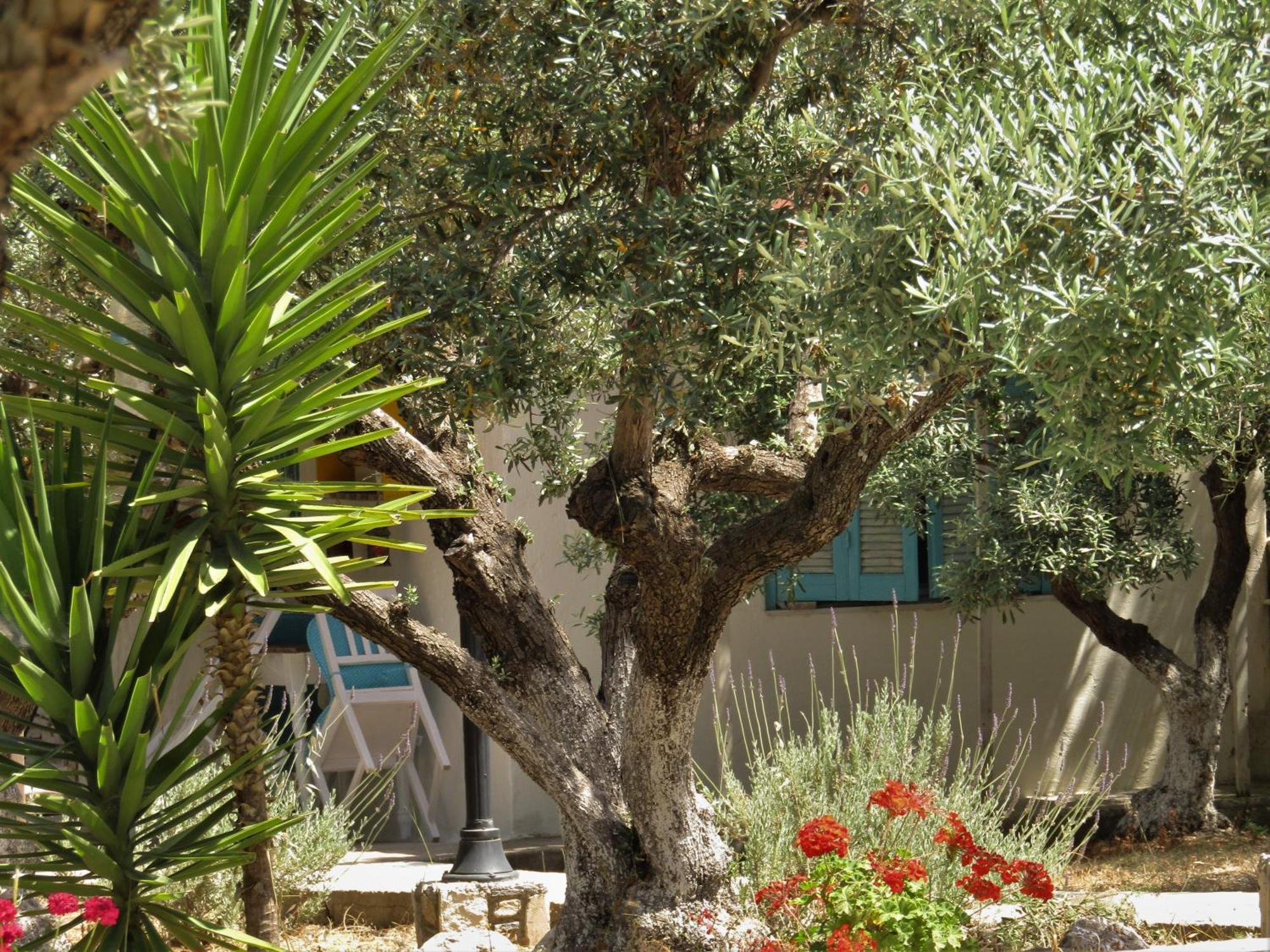 Asklipion Valley Guest House Cidade de Kos Exterior foto