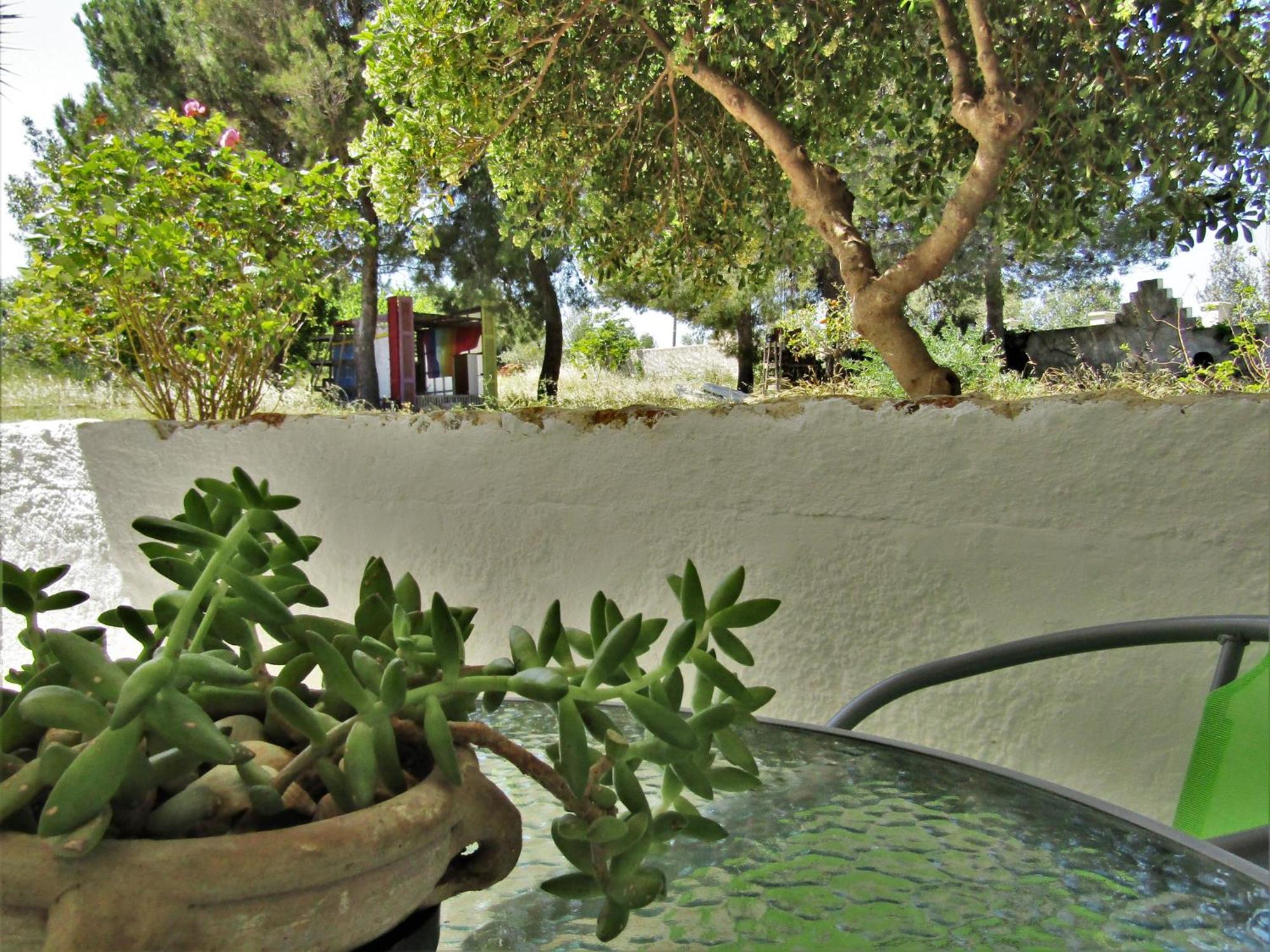 Asklipion Valley Guest House Cidade de Kos Exterior foto