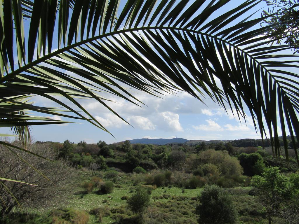 Asklipion Valley Guest House Cidade de Kos Exterior foto